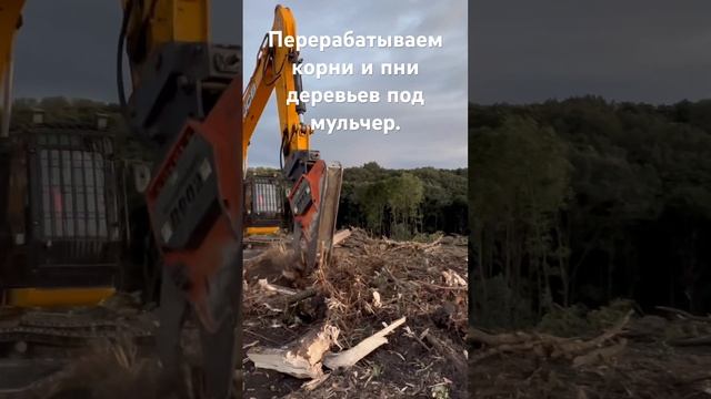 Перерабатываем корни и пни деревьев в мелкую фракцию под мульчер . #расчисткаподстроительство