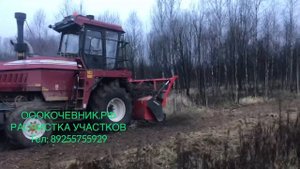 ИСПЫТЫВАЕМ НОВЫЙ МУЛЬЧЕР «ДЕСНА ПОЛЕСЬЕ 2U280A» РАСЧИСТКА ЗАРОСШИХ ПОЛЕЙ ОТ МЕЛКОЛЕСЬЯ, ДКР,ДЕРЕВЬЕВ