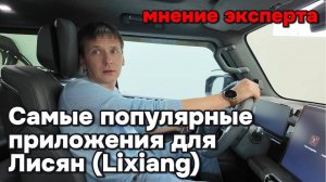 Самые популярные приложения для Лисян