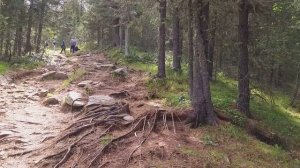 Хамар Дабан. Водопады на р.Подкомарная. Лето 2020г.
