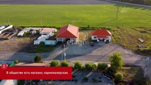 Серебряный бор