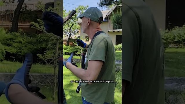 Почему при формировании ниваки нельзя сразу обрезать всё ненужное (часть 2)