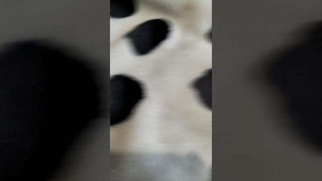 распаковка тополапки чек подписывайтесь смотреть онлайн