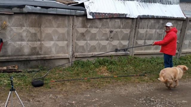 Обновка: Ручка подсачека Аргентум Fishing