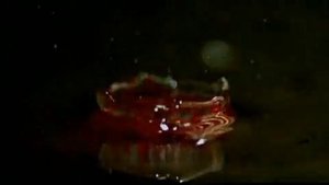 Король и Шут Воспоминания о былой любви The Cell