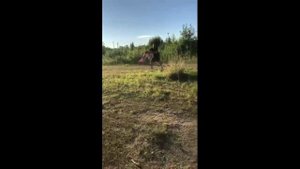 Кастинговые сети! Рыбалка!