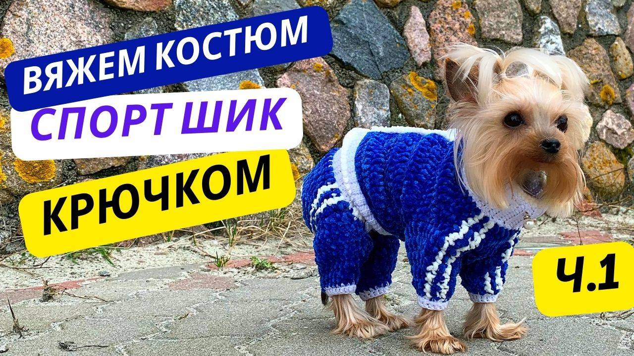 Спортивный костюм для собак: Вяжем свитер с застежкой на спине крючком: мастер-класс смотреть онлайн