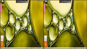 windows red zone  my pc