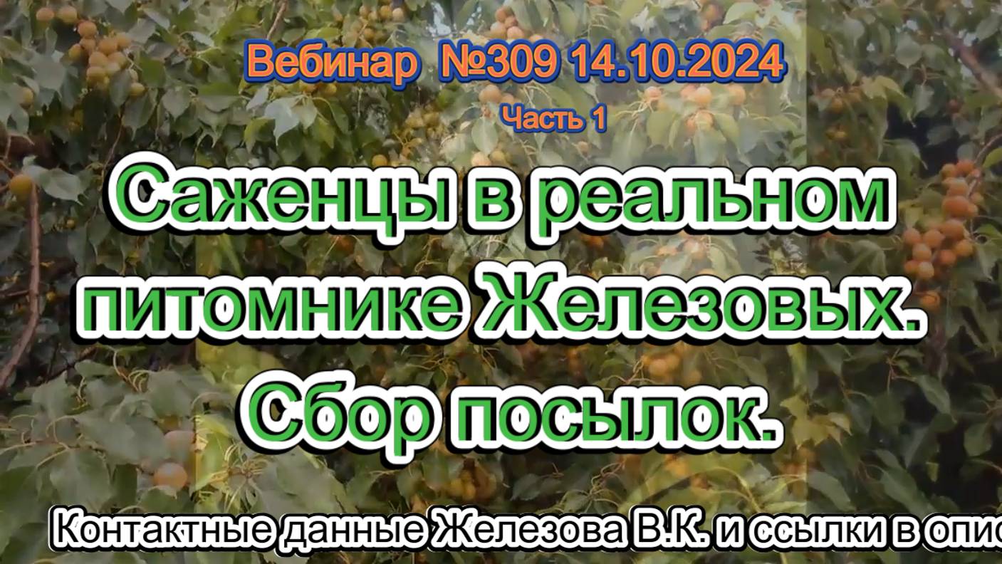 Железов Валерий. Вебинар 309. ч.1.  Саженцы в реальном питомнике Железовых. Сбор посылок.