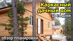 Проект одноэтажного дома 6х8 с двумя спальнями, кухней-гостиной и санузлом. Каркасный дачный дом