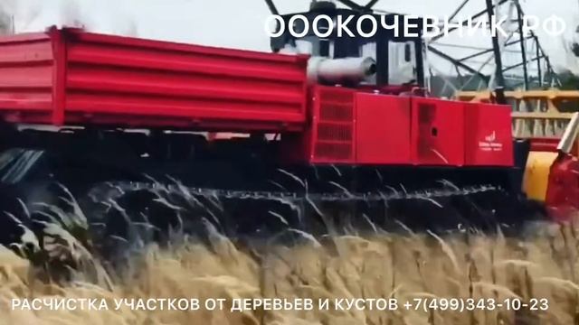 Расчистка полей от мелколесья и ДКР. ТЛП 4М 037 в работе.