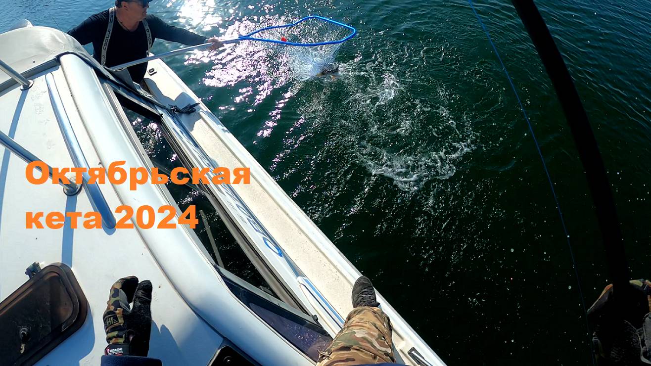 Октябрьская Кета 2024