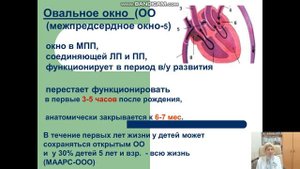 лекция АФО ССС часть 1