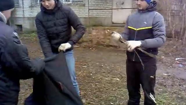 Луганск. Храм иконы Божией Матери "Взыскание погибших" смотреть онлайн