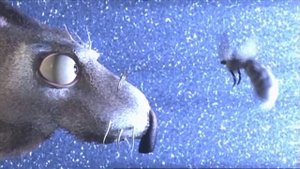 Chris Wedge’s Introduction to Blue Sky Studio’s “Bunny” (1998)