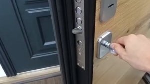 Обзор входной двери «Снорри»