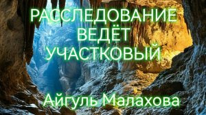 РАССЛЕДОВАНИЕ ВЕДЁТ УЧАСТКОВЫЙ. Айгуль Малахова. Читает Кот Баюн
