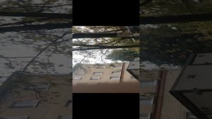 14.10.2024 - приехали на Быковское шоссе - Сергей Мрякин, и встретили Дмитрия = безответственного!
