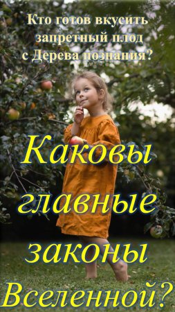 Каковы главные законы Вселенной?