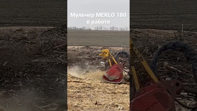 МУЛЬЧЕР MERLO 180 В РАБОТЕ НА РАСЧИСТКЕ ТЕРРИТОРИИ