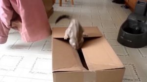 3 умопомрачительных факта, которые заставят вас усомниться во всем, что вы знаете об окружающем мире