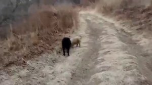 Один день из моей жизни.Вяжем,гуляем и готовим.