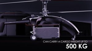 UAV Sky-truck