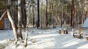 VID-20241016-WA0000