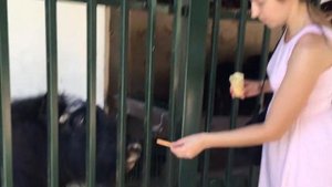 В зоопарке Лимпопо Нижний Новгород