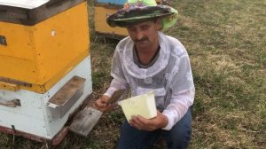 500+ Пополняем корма + стимуляция маток через уличные кормушки