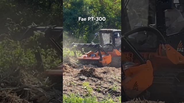 MULCHER FAE PT -300 Пополнение в штат прибыло... #мульчерexpert