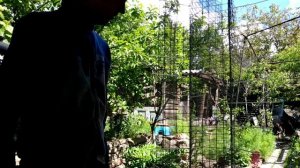 Клетки для перепелов своими руками