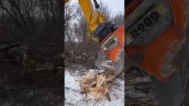 Разрушитель корней в деле # #мульчер #услугимульчера #благоустройство #расчисткаучастков
