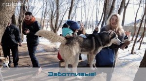 Поздравление с 8 марта, март 2016