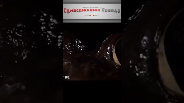 Кого боится горилла?Вы будете удивлены,но это так!