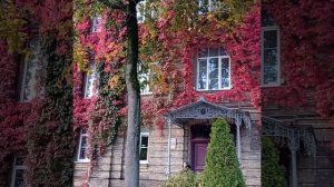 Осень в городе.Осенний Гродно. / Беларусь / новости / красивые места / университет Я .Купалы /