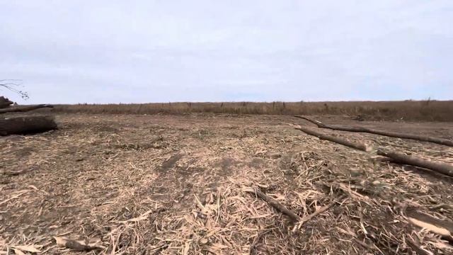 Расчищаем территорию под строительство дороги.Рубим,выкорчёвываем, мульчируем новым Prime Tech pt300