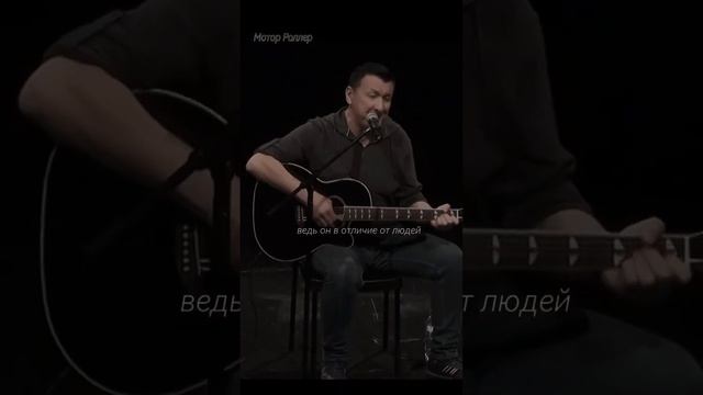 Встречали когда-нибудь шакалов в дикой природе? смотреть онлайн