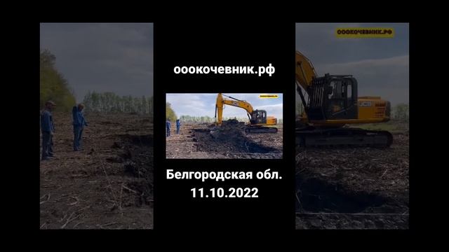 Белгородская область 11.10.2022 Копаем гусеничным экскаватором пруд