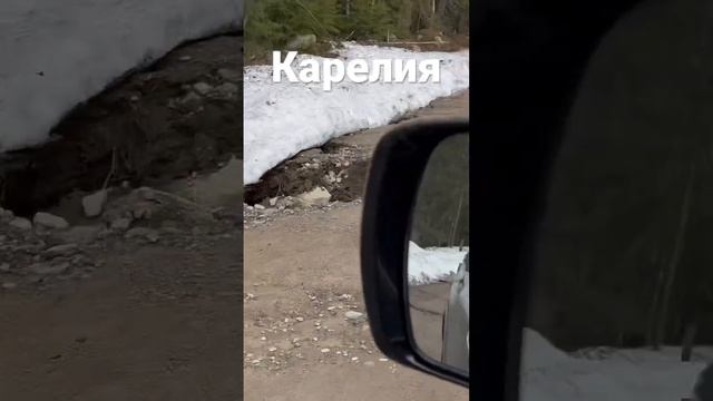 Карелия #мульчерexpert #расчисткаподстроительство #мульчер #услугимульчера #корчевание #ооокочевник