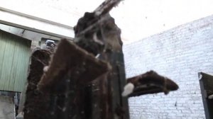 Зернометатель ЗМЭ-60П экспресс-обзор от Янина Михаила