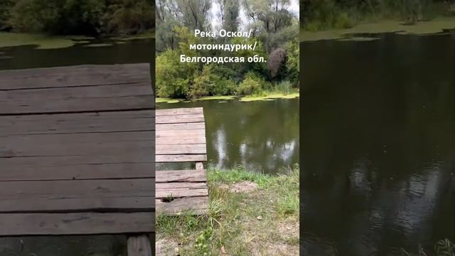 Гоняем по красивым местам Белгородской обл. на мотоциклах / Река Оскол/ #мульчерexpert
