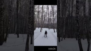 Прокат на Лыжах !