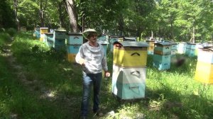 500+ Лучшая защита от медведя.