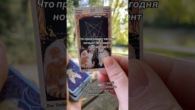 Что произойдет сегодня ночью? #tarot #таро #гадание #гадалка #новоегадание #гадания