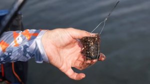 Ловля на фидер в Братеево. Валерьянка VS Корвалол