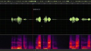 Разбор записи голоса в Adobe Audition на примере аудиокниг (диктор Алексей Ляпунов)