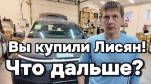 Вы купили Лисян, что делать дальше