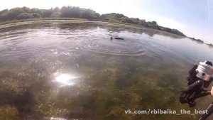 Как обманывают Рыбаков на платных прудах!Жесть!Я бы никогда не подумал - Рыбалка -платный пруд обман