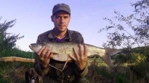 Самая хитрая рыба - Жерех на малой реке